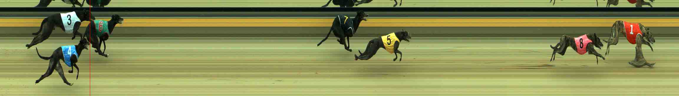 Photo finish for Sale Race 11