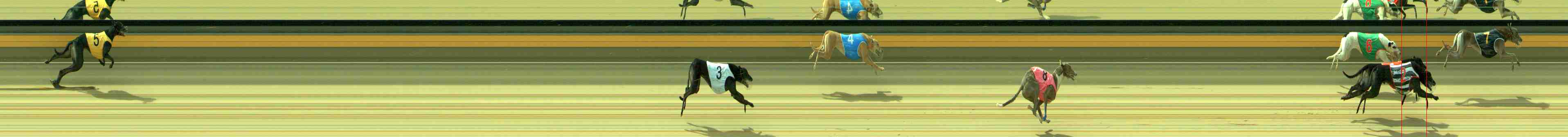 Photo finish for Sale Race 12