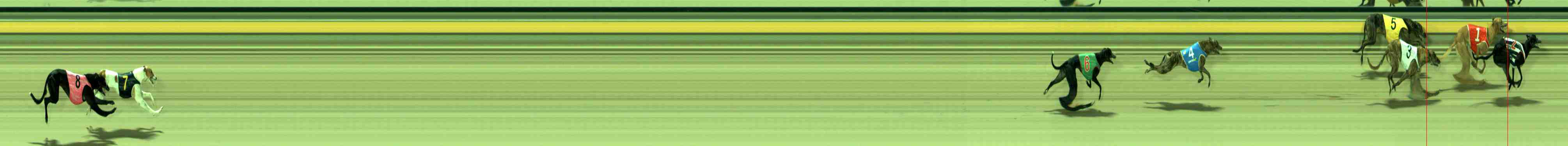 Photo finish for Sale Race 1