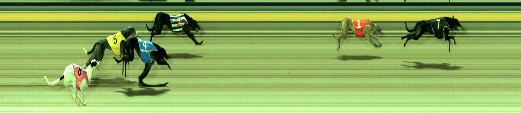 Photo finish for Sale Race 2