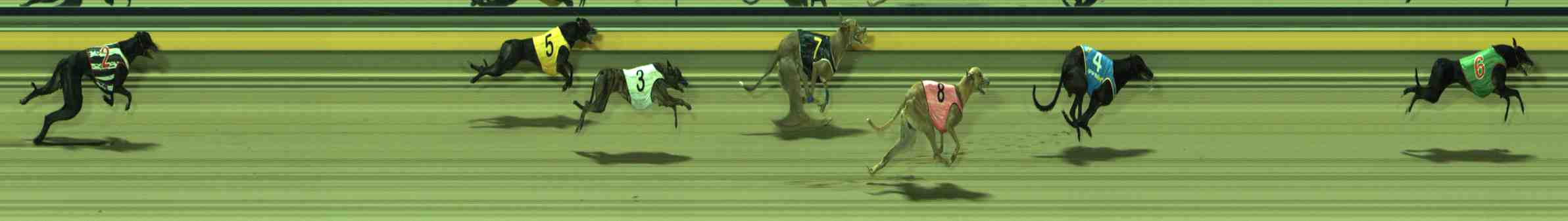 Photo finish for Sale Race 4