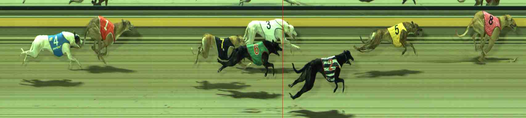 Photo finish for Sale Race 5
