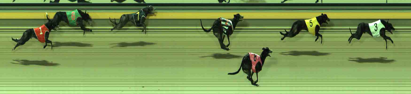 Photo finish for Sale Race 7