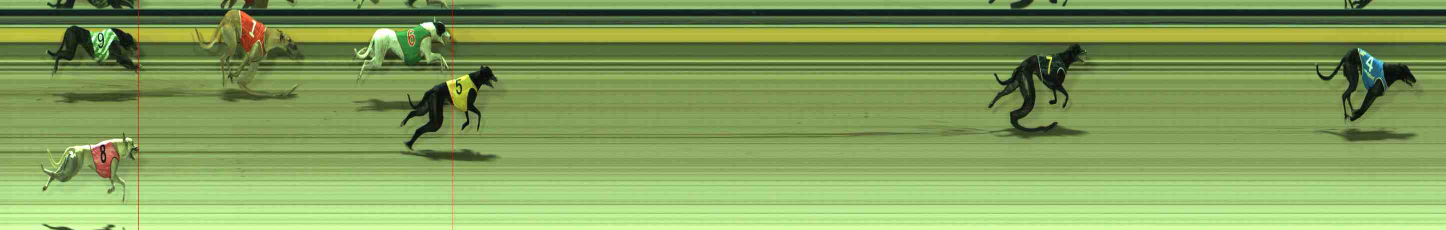 Photo finish for Sale Race 8