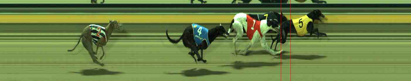 Photo finish for Sale Race 9