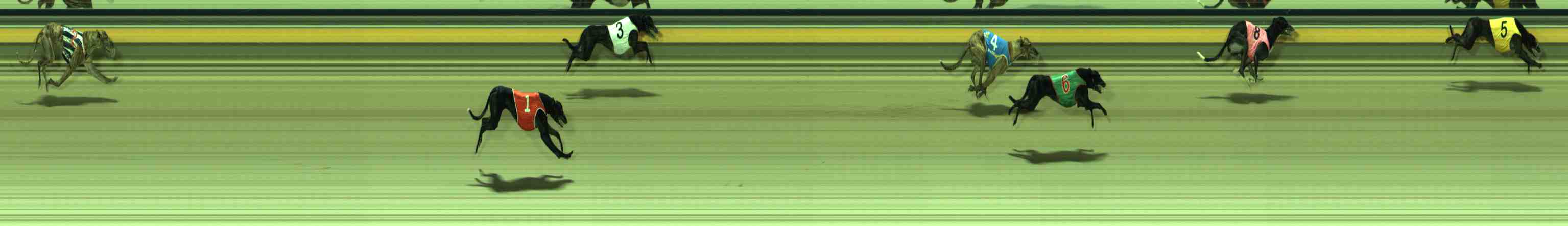 Photo finish for Sale Race 10