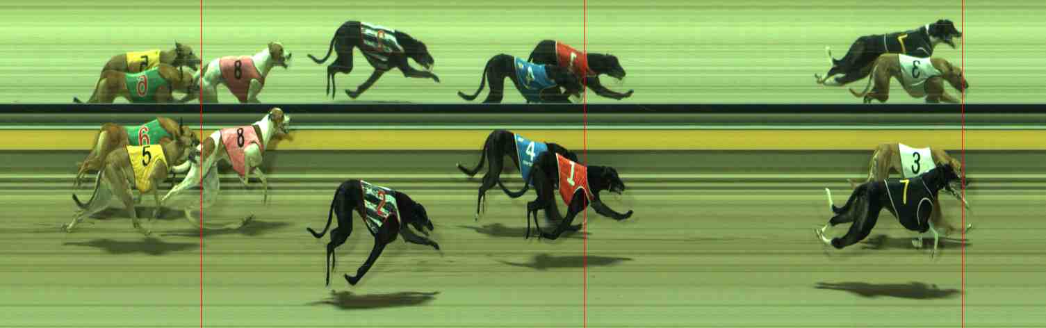 Photo finish for Sale Race 11