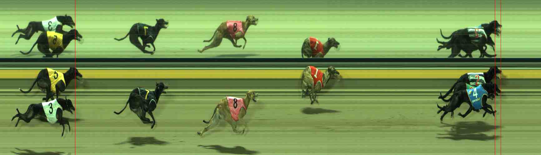 Photo finish for Sale Race 12