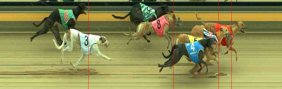 Photo finish for Sale Race 2