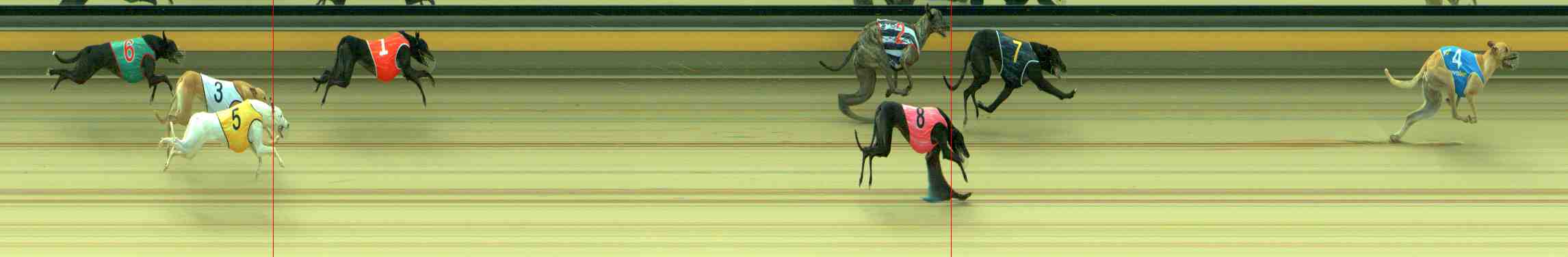 Photo finish for Sale Race 3
