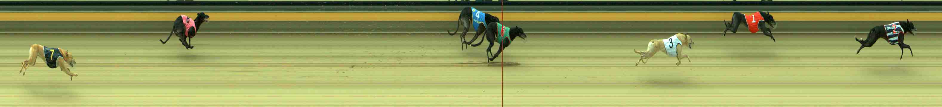 Photo finish for Sale Race 6