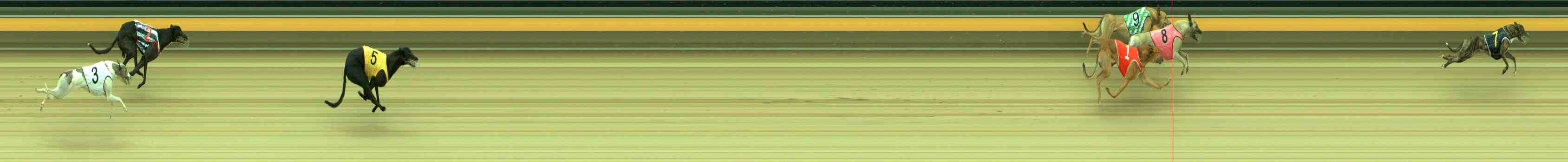 Photo finish for Sale Race 9