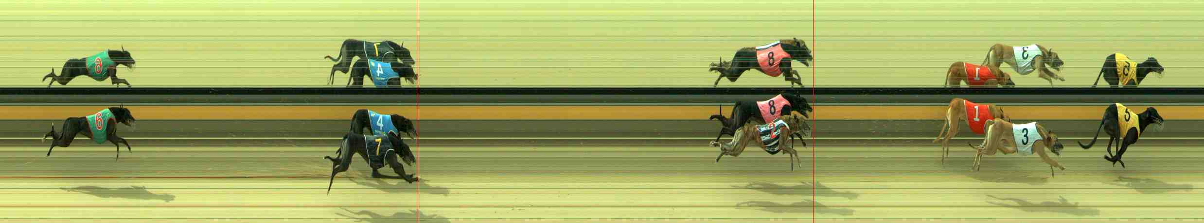 Photo finish for Sale Race 10