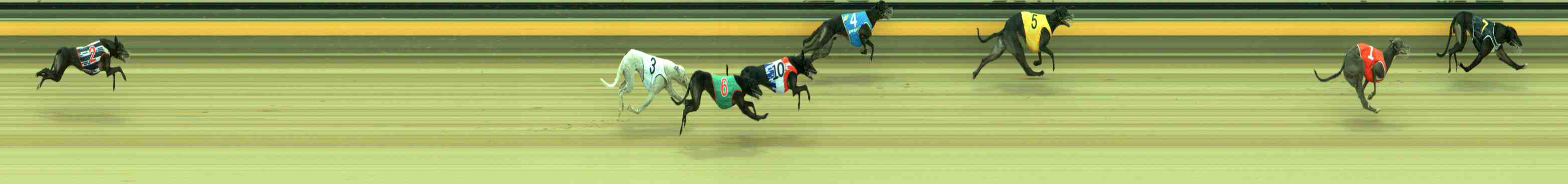 Photo finish for Sale Race 12