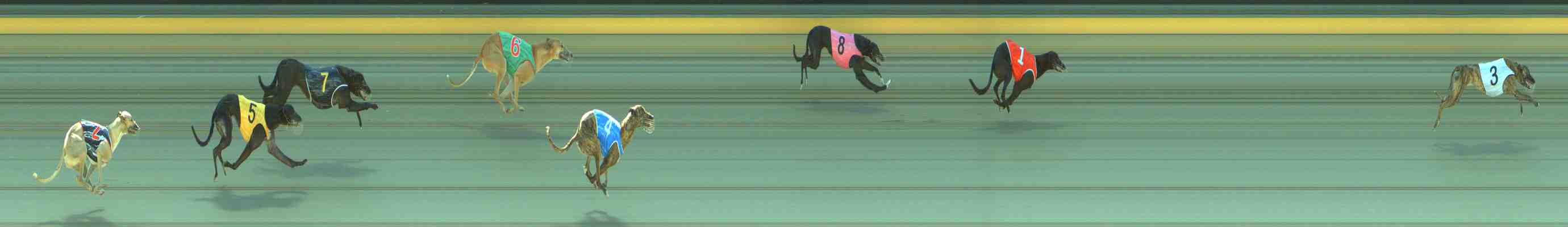 Photo finish for Sale Race 2