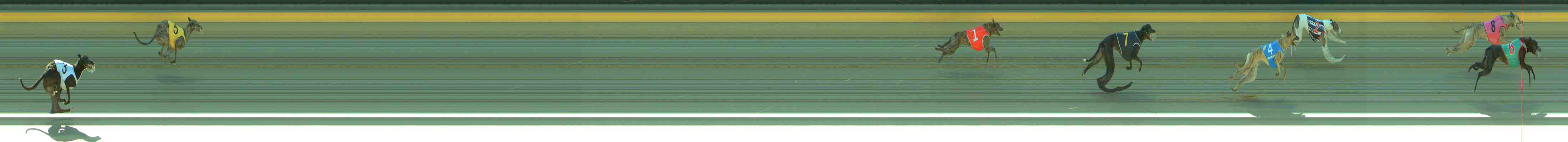 Photo finish for Sale Race 3