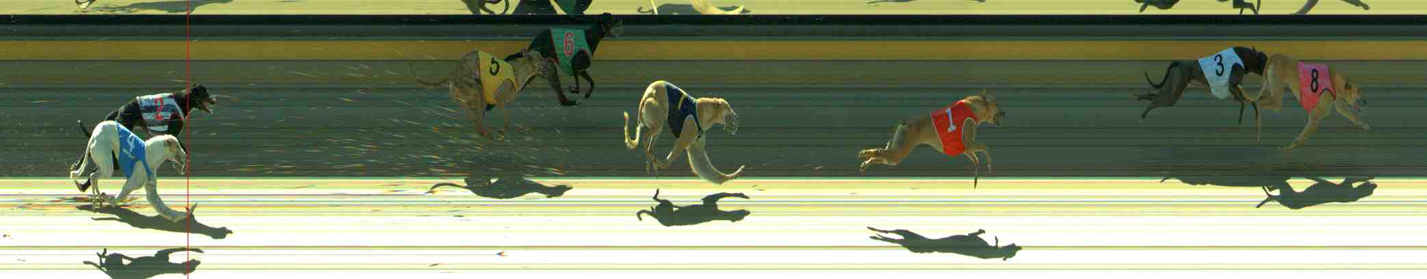 Photo finish for Sale Race 4