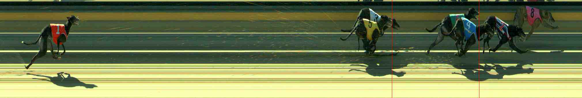 Photo finish for Sale Race 6