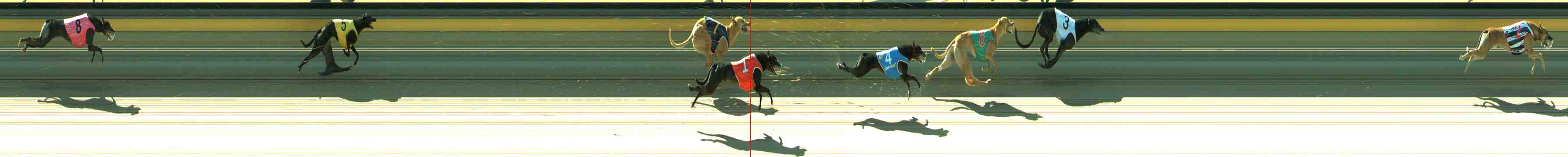 Photo finish for Sale Race 7