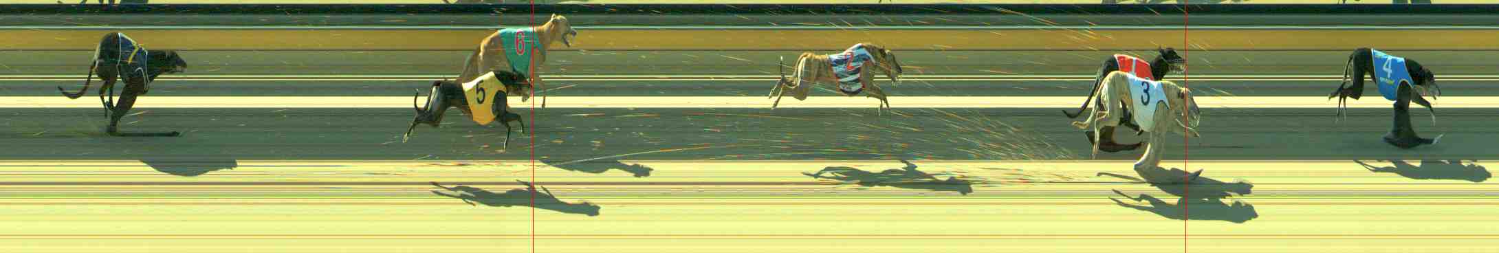 Photo finish for Sale Race 10