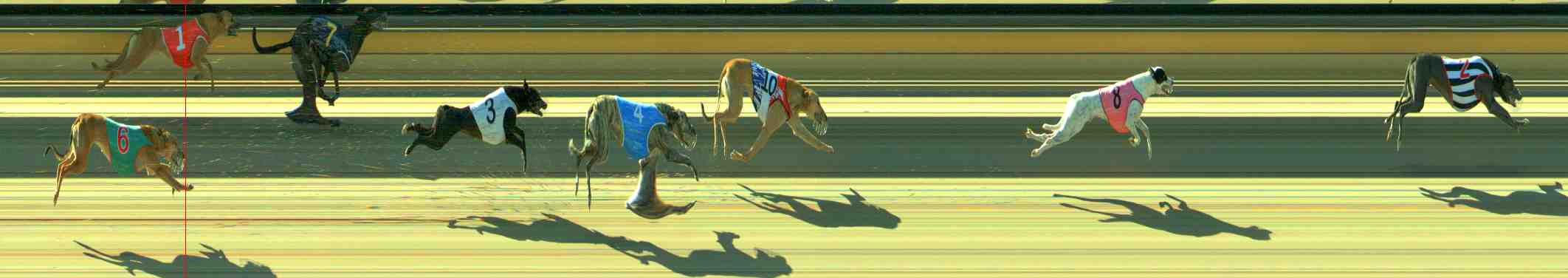 Photo finish for Sale Race 11