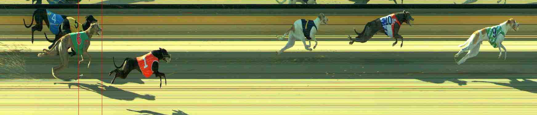 Photo finish for Sale Race 12