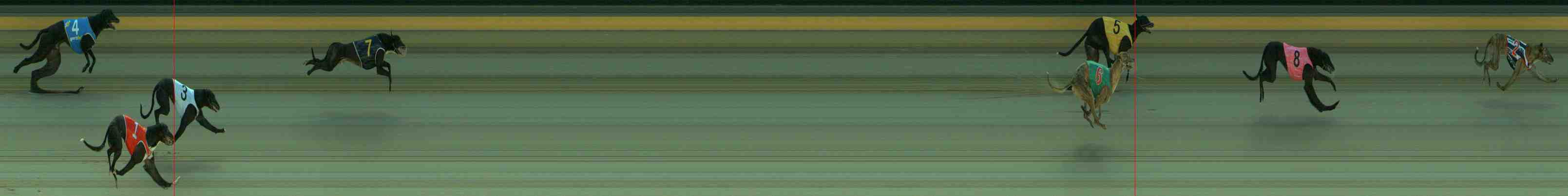 Photo finish for Sale Race 2