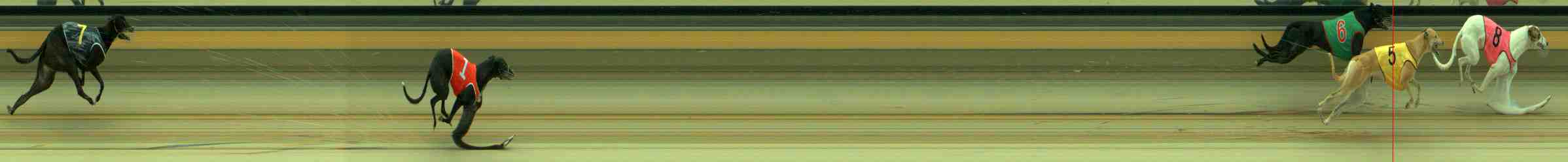 Photo finish for Sale Race 4