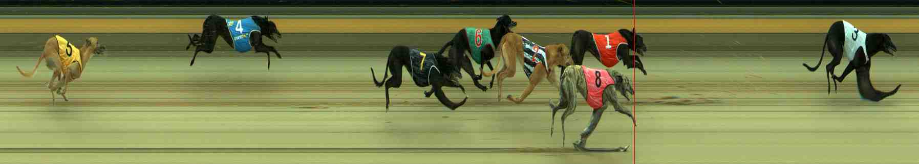 Photo finish for Sale Race 5
