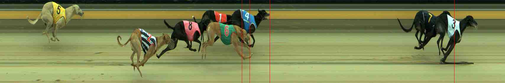Photo finish for Sale Race 6