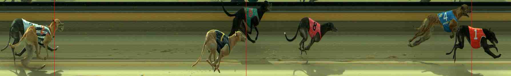 Photo finish for Sale Race 7