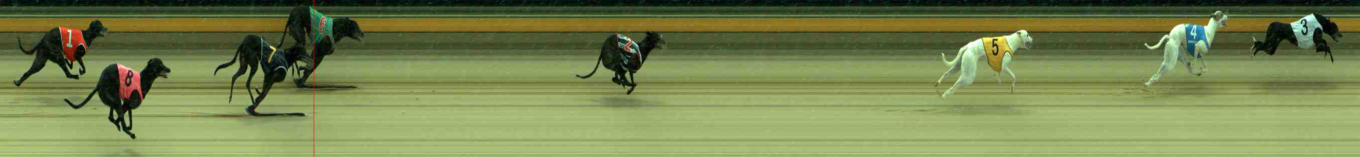Photo finish for Sale Race 9