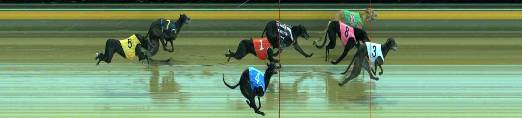 Photo finish for Sale Race 10