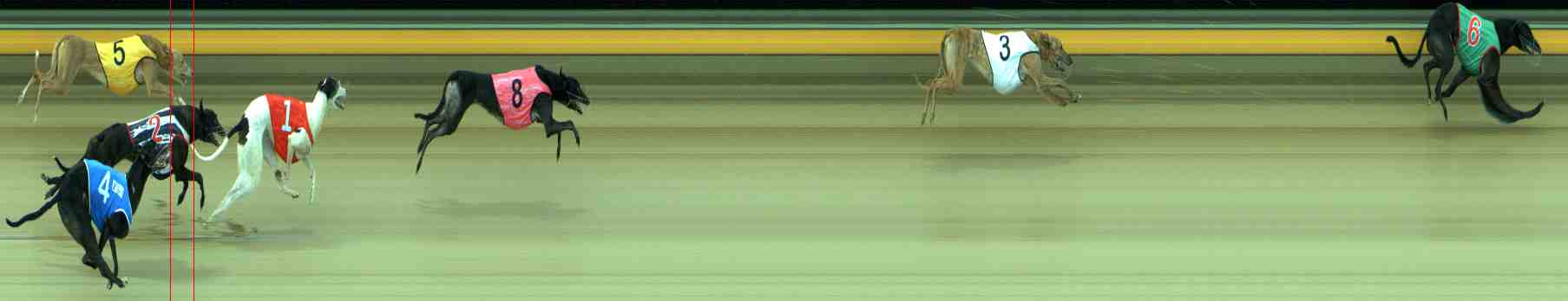 Photo finish for Sale Race 11