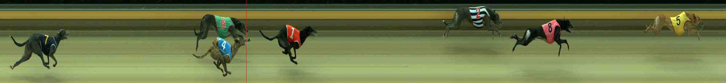 Photo finish for Sale Race 12