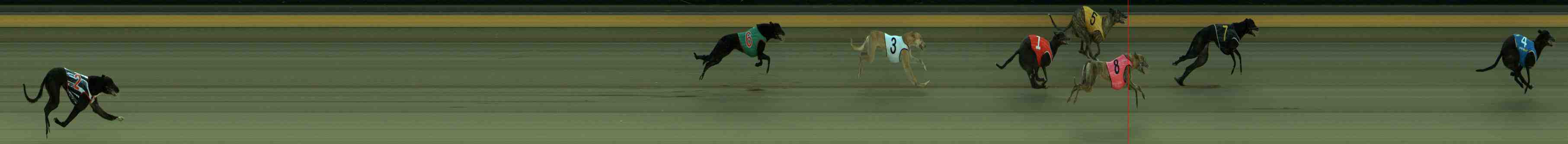 Photo finish for Sale Race 1