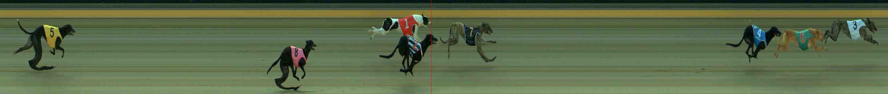 Photo finish for Sale Race 2