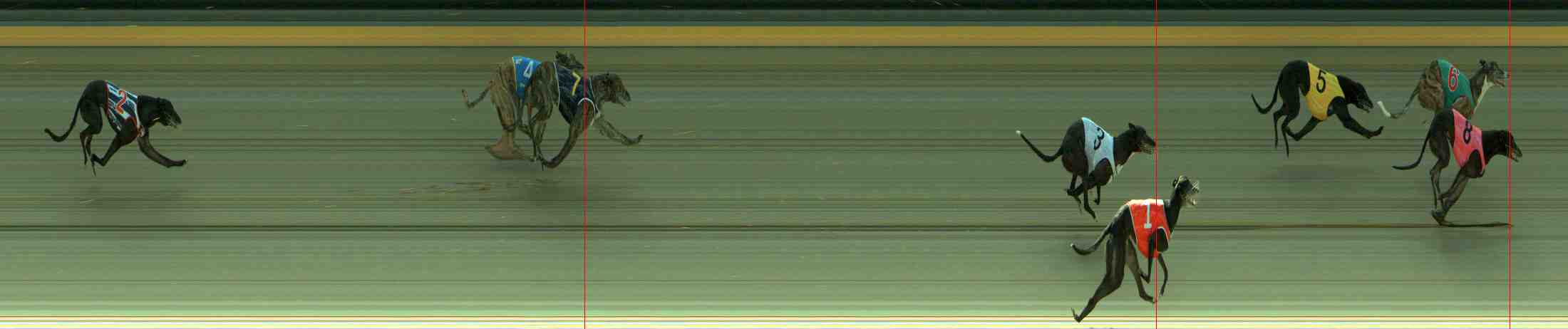 Photo finish for Sale Race 3