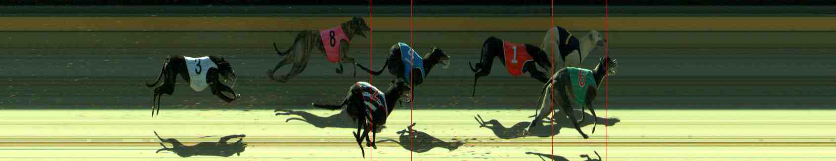 Photo finish for Sale Race 5
