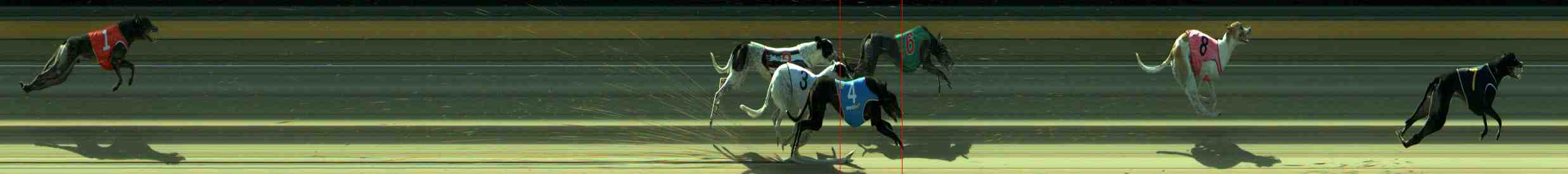 Photo finish for Sale Race 6