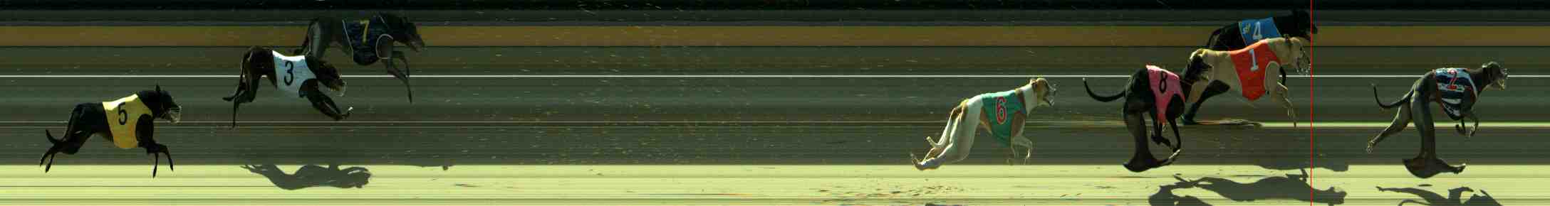 Photo finish for Sale Race 7