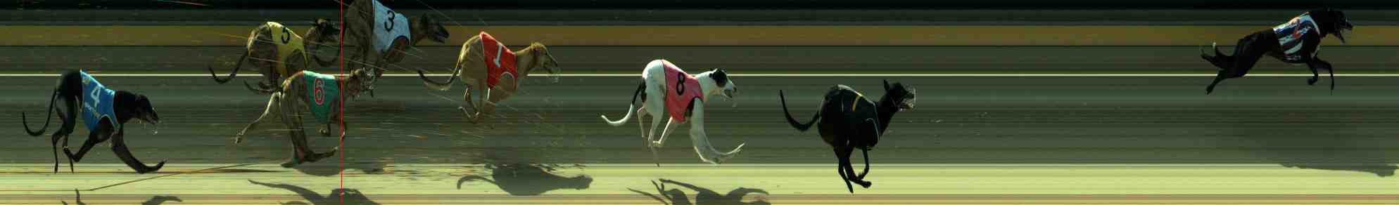Photo finish for Sale Race 8