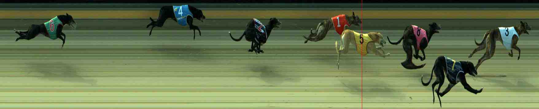 Photo finish for Sale Race 9