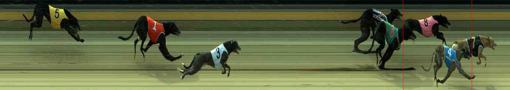 Photo finish for Sale Race 10