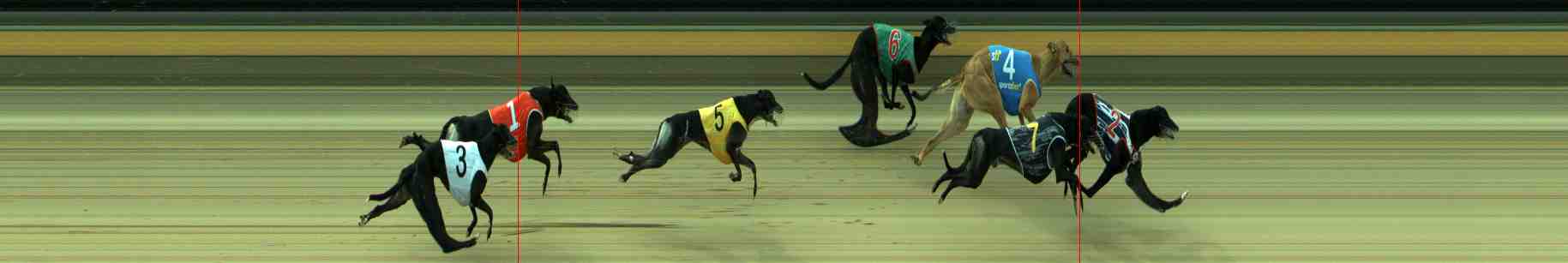 Photo finish for Sale Race 11
