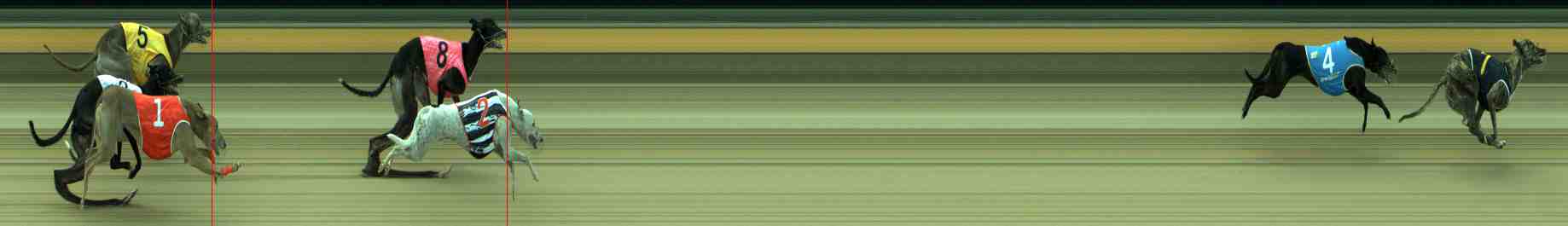 Photo finish for Sale Race 12