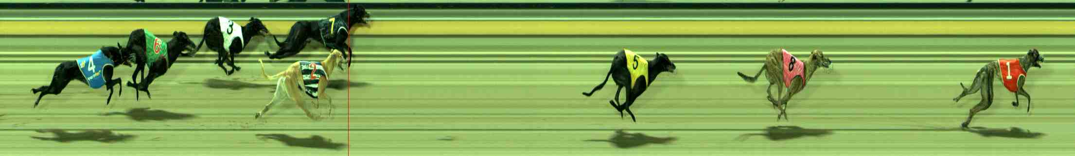 Photo finish for Sale Race 3