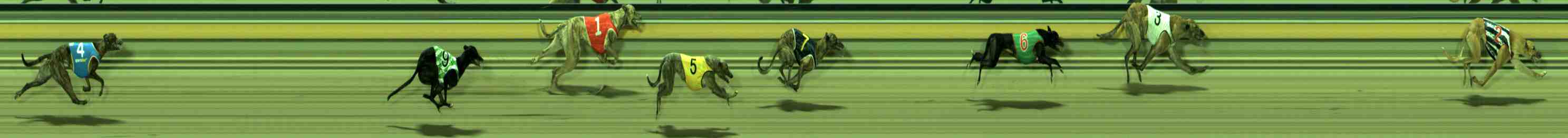 Photo finish for Sale Race 4