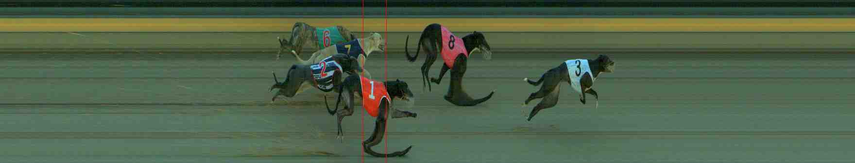 Photo finish for Sale Race 1