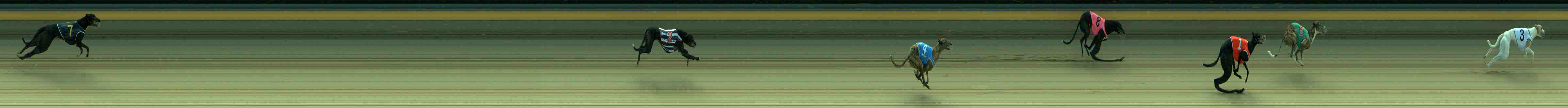 Photo finish for Sale Race 2